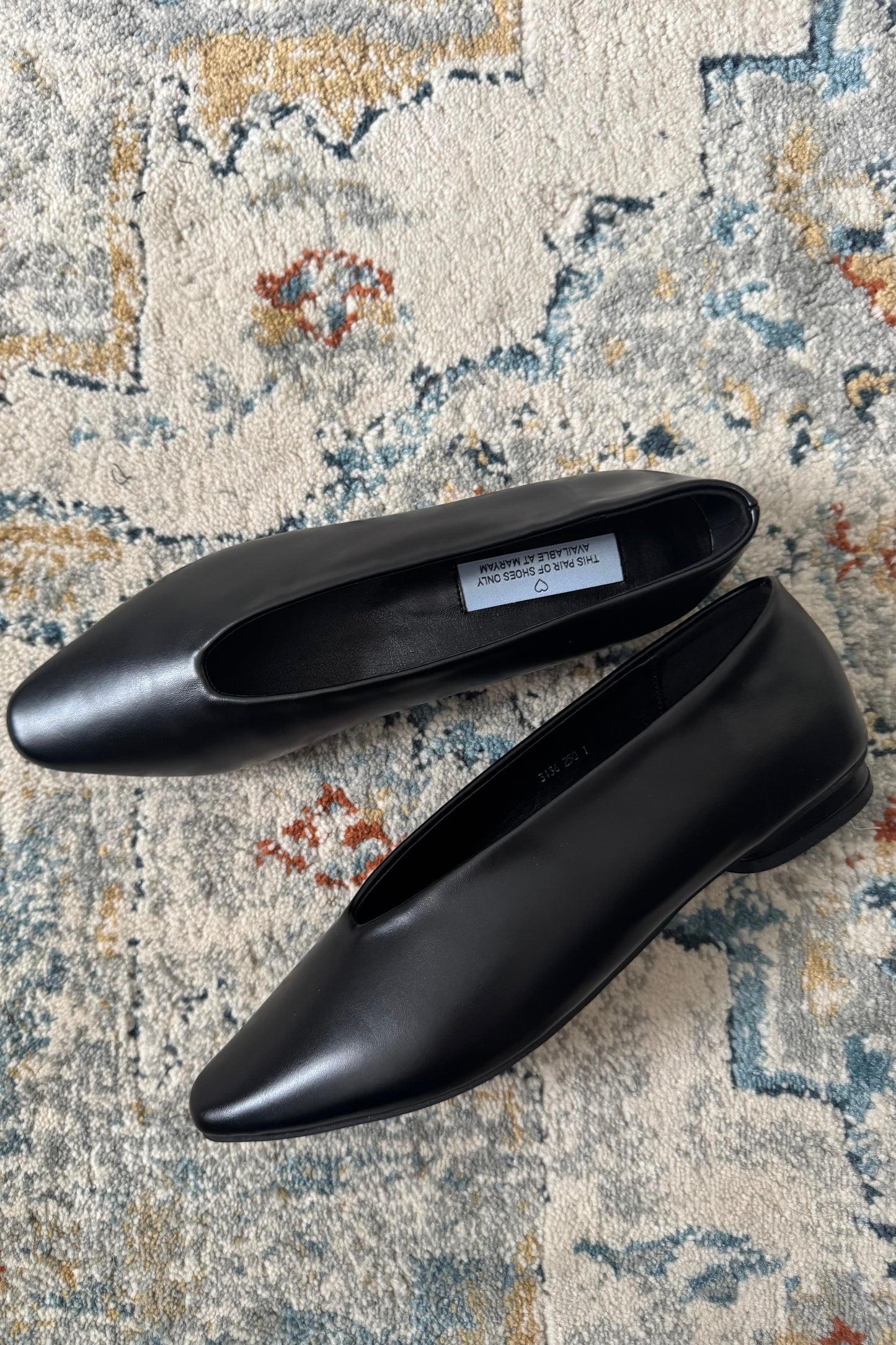 250948 Anastasie flats