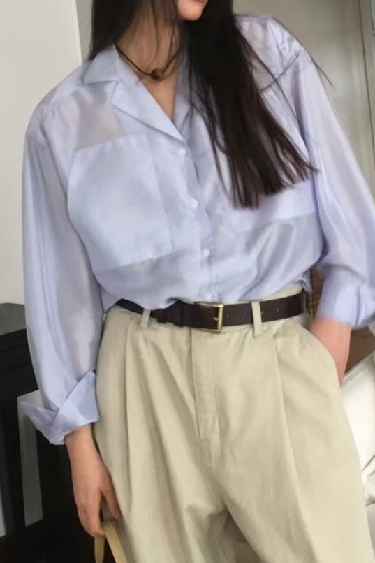 250455 Alexandria Sheer Blouse