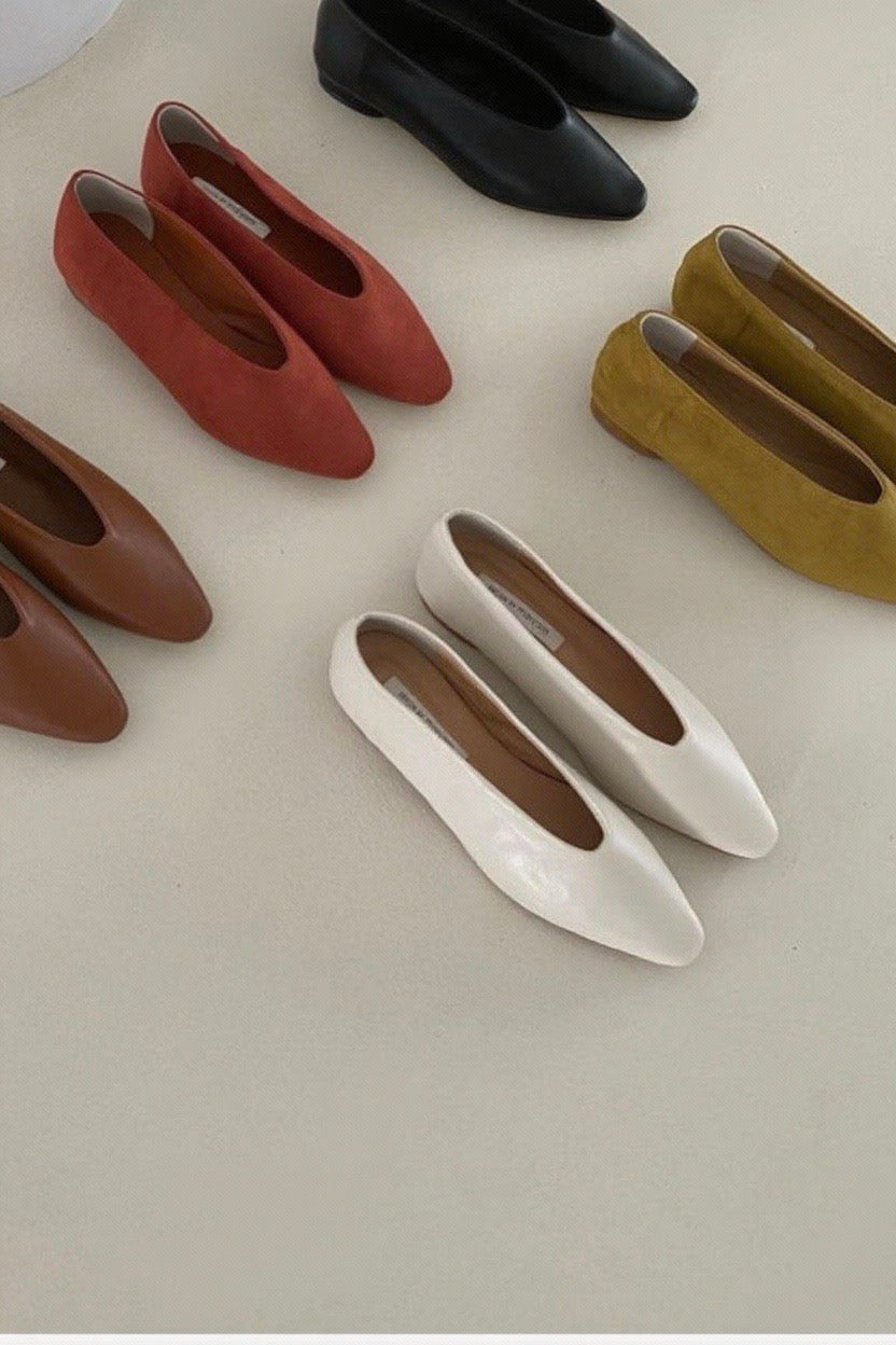 250948 Anastasie flats