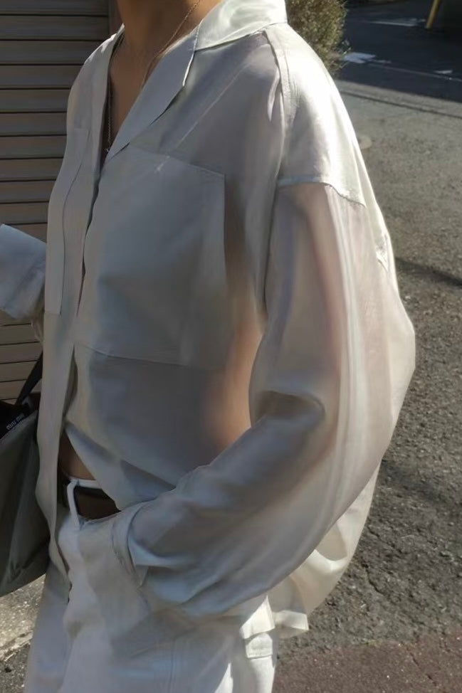 250455 Alexandria Sheer Blouse